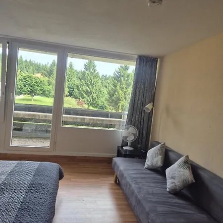 1-zimmer-apartment Mit Balkon, Kostenloser Schwimmbadnutzung Und Blick Ins Gruene * Sankt Englmar