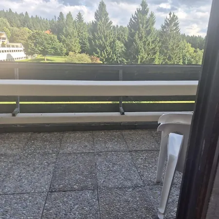 1-zimmer-apartment Mit Balkon, Kostenloser Schwimmbadnutzung Und Blick Ins Gruene Lejlighed Sankt Englmar