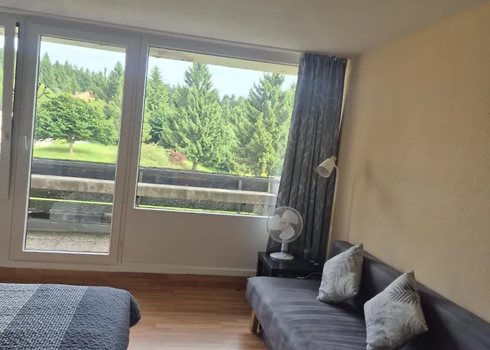 1-zimmer-apartment Mit Balkon, Kostenloser Schwimmbadnutzung Und Blick Ins Gruene * ザンクト・エングルマール